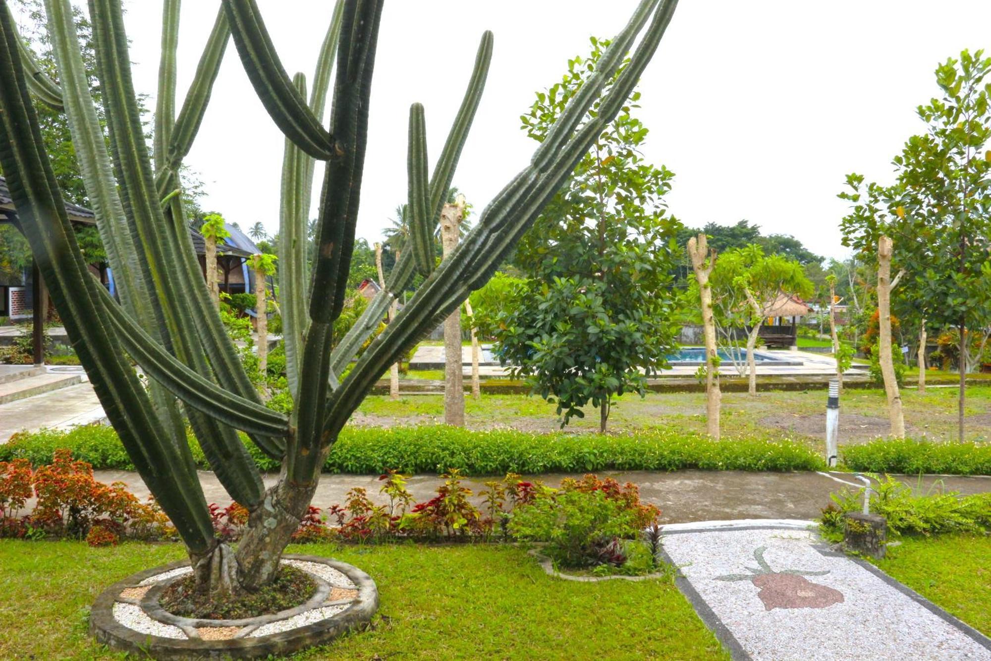 Green Orry Inn Tetebatu Exterior foto
